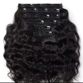 Vietnamese Natural Wave Clip Ins